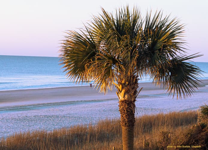 South Carolina